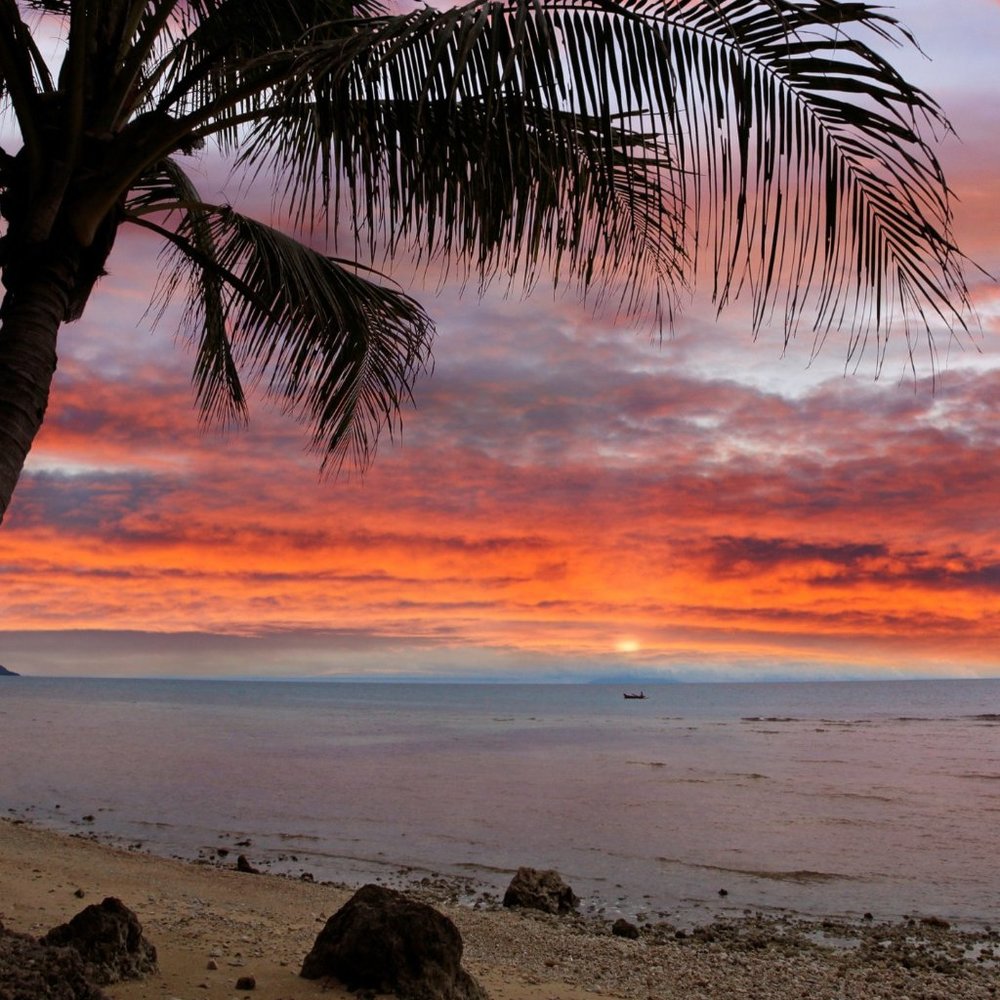 Meet your Posher, Dave